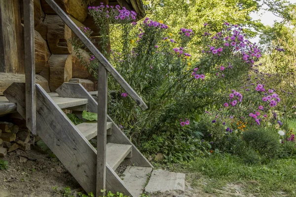 wood material rustic porch exterior village house stairs near flower bed garden foliage nature