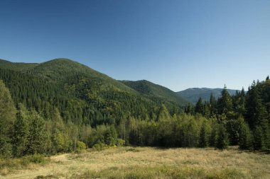 Yaz Karpat Dağları Yeşil Tepeler Dağlar Dağlar Ulusal Park manzarası