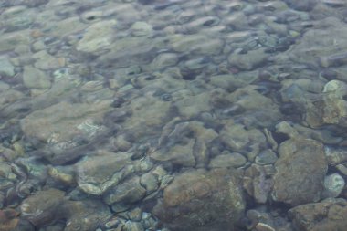 mavi ve yeşil renkli deniz suyu kıyı şeridi taştan kayalık yüzeysel taban, hava manzarası fotoğrafçılık arka planı