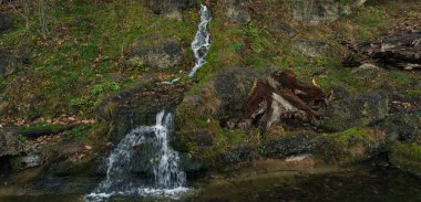 canlı rengarenk bahar zamanı Mart ayı başlarında ağaç kütüğü ve küçük dağlık su bulanık hareketli yerel doğa manzarası