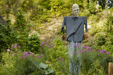 Korkuluk bahçedeki kırsal nesneleri düzenliyor. Güneşli doğa alanı yeşil yeşillik. Bahar mevsimi canlı, renkli hava zamanı.