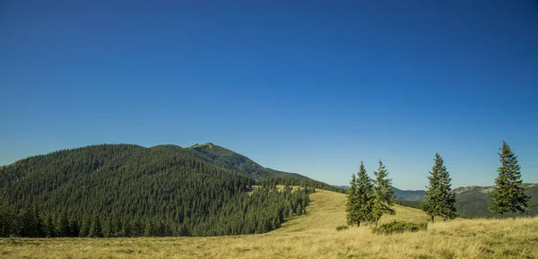 Karpaten Frühling Landschaft Wald Szenische Ansicht Der Westukraine Kopieren Raum — Stockfoto