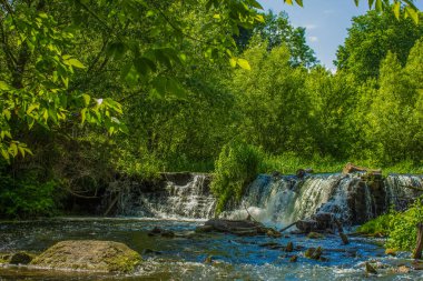 Ormanda küçük şelaleli yaz manzaralı yaz manzarası