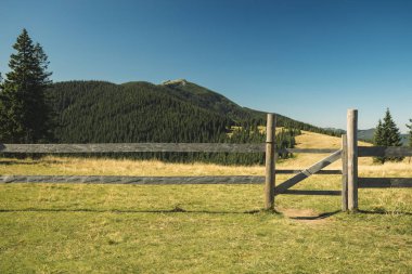 Kırsal ahşap palisade kapılı kırsal köy nesnesi Highland Dağları 'nda çitle çevrili arazi arazisi açık hava durumu yaz günü doğa manzarası arka plan fotokopi alanı