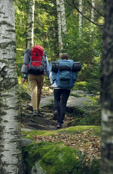 hiking backpacking life style concept touristic photography of two girl back to camera walking in highland rocky mountain birch forest nature landscape environment vertical picture