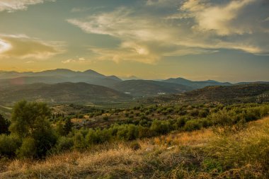güzel panoramik manzara manzarası vadi ormanı ön planda ve dağ arka planında gün batımında altın ışıklandırma ortamı kopyalama alanı
