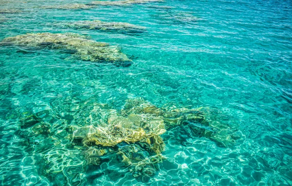 亚喀巴湾南岸地区附近珊瑚礁海底清洁自然生态环境景观中东区域背景概念复制空间 — 图库照片