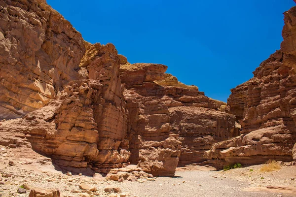 Negev Israelisk Öken Torr Mark Sand Sten Stenig Stig Passage — Stockfoto