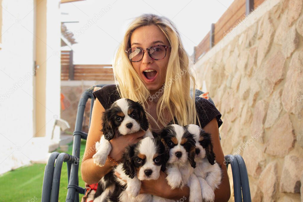 glad woman expression face portrait hold four adorable King Charles Cavalier puppies in hand outside yard space sunny lighting background space