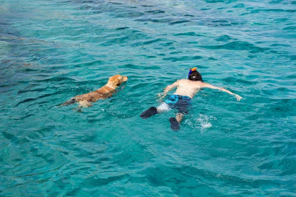 Homem Nadando Com Cão Atividades Aquáticas Verão Relaxamento Conceito Fotografia — Fotografia de Stock