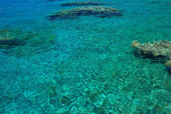 Ren Natur Tropiska Natursköna Utsikt Från Ovan Röda Havet Korallrev — Stockfoto