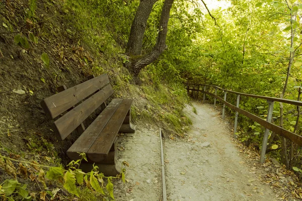 春の公園の木のベンチ緑の葉自然環境地上遊歩道のある空間はこちら — ストック写真
