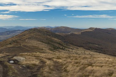 Karpatya Dağları Doğu Avrupa dağları karamsar manzara Batı Ukrayna doğası sonbahar yumuşak renk çevresi