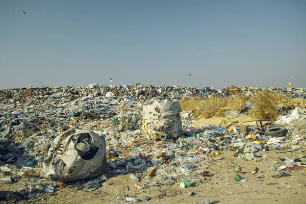 Despejar Lixo Ambiente Poluição Global Ecologia Desastre Razão Atividade Humana — Fotografia de Stock