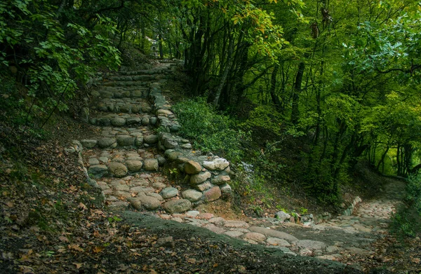 Atmosphärisch Landschaftsgestaltung Natur Umwelt Ort Stein Treppen Alt Gepflastert Gekrümmten — Stockfoto