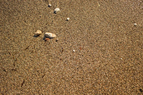 Θάλασσα Ακτή Άμμο Και Πέτρες Φόντο Υφή Επιφάνεια Αντίγραφο Χώρο — Φωτογραφία Αρχείου
