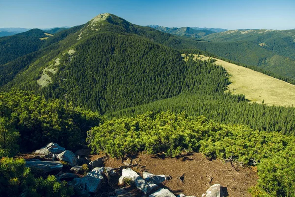 Pintoresca Vista Panorámica Superior Solitaria Montaña Pico Bosque Pinos Cubierta —  Fotos de Stock