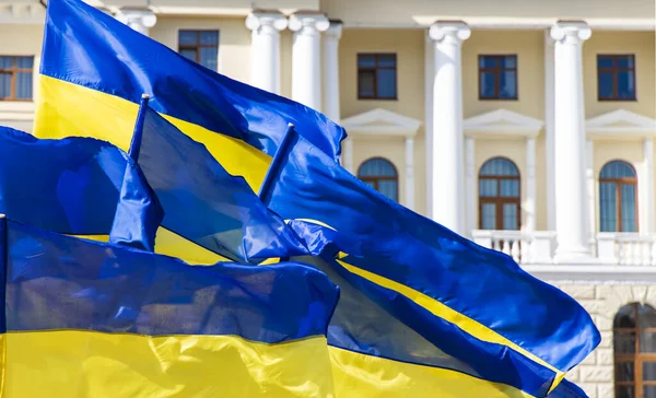 Голубые Желтые Флаги Украины Развивающиеся Ветру Возле Здания Ратуши Классической — стоковое фото