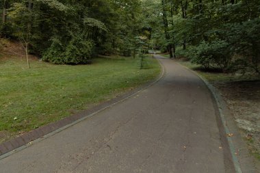 Parkın içinde boş asfalt yolda insanlar olmadan yürüme alanı taze doğa ortamında