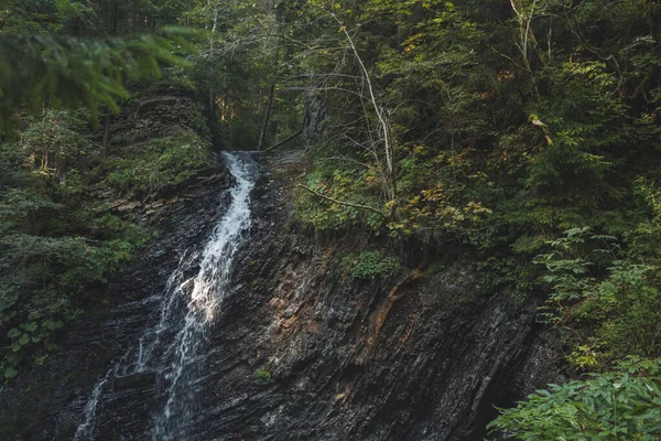 Cárpatos Montanha Ucrânia Natureza Vista Cênica Foco Suave Floresta Cachoeira — Fotografia de Stock