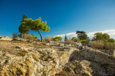 Yeşil ağaçlar ve tepeleri olan sıcak güney ekvator ülkesindeki doğa manzarası. Boş mavi gökyüzü manzaralı sıcak yaz havası.