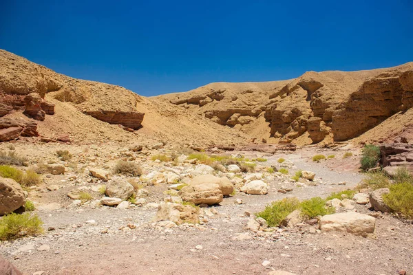 Israeliano Deserto Paesaggio Estate Riscaldamento Natura Ambiente Vista Panoramica Sabbia — Foto Stock