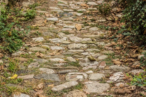 Oude Verlaten Geplaveide Getextureerde Stenen Weg Park Tuin Omgeving Ruimte — Stockfoto