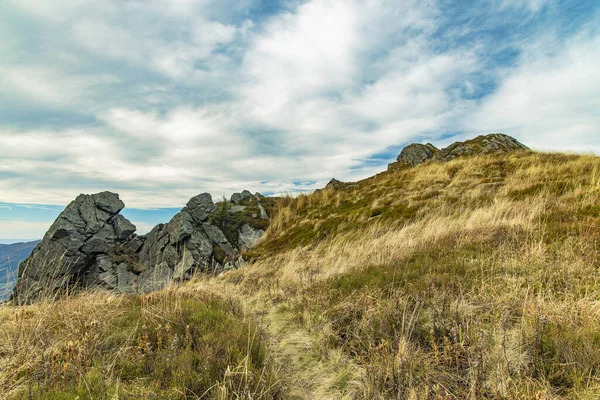 Montañas Cárpatos Paisaje Malhumorado Tierras Altas Pastos Rocosos Pintorescas Vistas — Foto de Stock