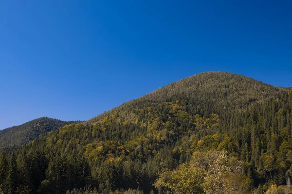 Cárpatos Montañas Paisaje Bosque Verde Cubierta Colina Vista Panorámica Hora —  Fotos de Stock