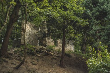 Bilinmeyen şato, batı Ukrayna ormanlarındaki taş duvar inşaatını harap etti. Dağlık arazi, doğa, medeniyet uzayından uzak gizemli bir yer.