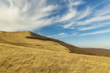 Karpatya Dağları manzarası manzarası açık hava günü erken bahar mevsimi eylül tepelerinde kara ve canlı mavi gökyüzü beyaz bulutları