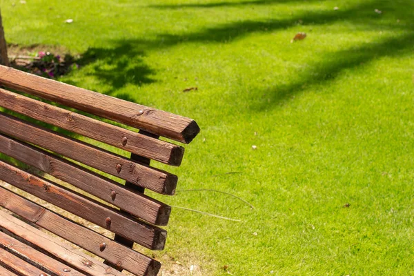 Pusty Ławka Drewniany Kształt Słoneczny Ogród Środowisko Żywe Żółty Zielony — Zdjęcie stockowe