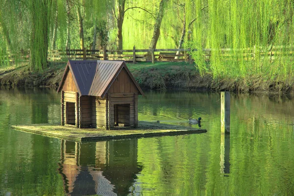 Paisajismo Cabaña Madera Para Las Aves Flotan Pequeña Decoración Embalse — Foto de Stock