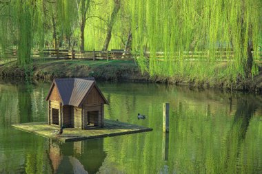 Park baharı manzaralı göl rezervuarı ahşap kabin kuş evi su üzerinde yüzer sakin yüzey barışçıl doğa koşulları Nisan ayında