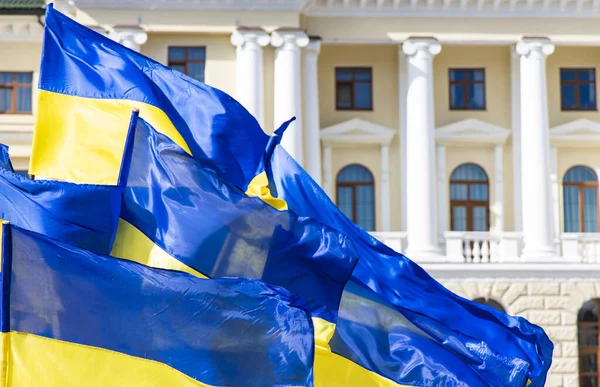 Концепция Независимости Украины Национальные Флаги Размахивающие Ветру Главном Правительственном Здании — стоковое фото