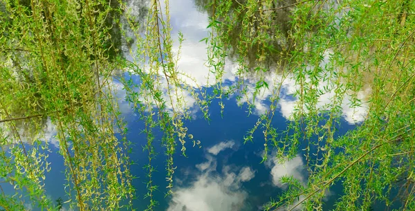 夏日晴天时节田园风光清澈的湖水 天空倒映面与绿叶的前景 — 图库照片