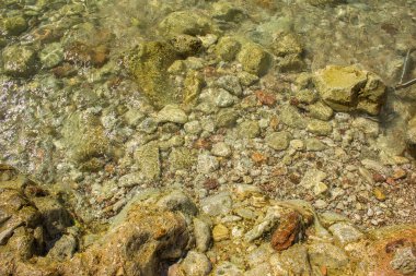 Kayalık kayalık, sığ su kıyısı manzaralı.
