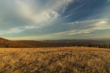Karpatya dağlarının sonbahar manzarası Batı Ukrayna çimlerinin manzarası ön planda ve kahverengi ağaçlar, kameradan uzak birkaç yalnız çadırı olan yüksek tepeleri kaplıyor.