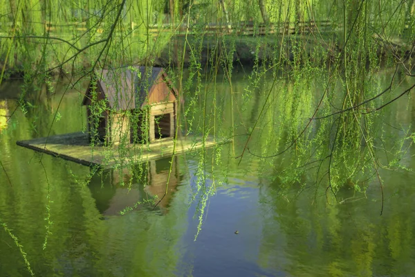 Cabaña Madera Estanque Agua Superficie Verano Día Tiempo Con Follaje — Foto de Stock