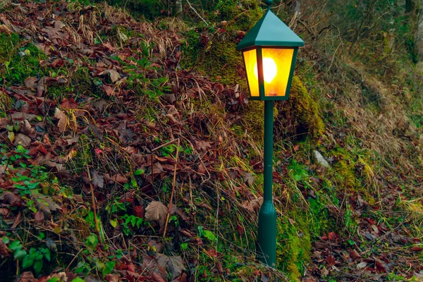 Wald Laterne Gelb Beleuchtung Landschaftsgestaltung Objekt Für Touristen Märchen Szenische — Stockfoto