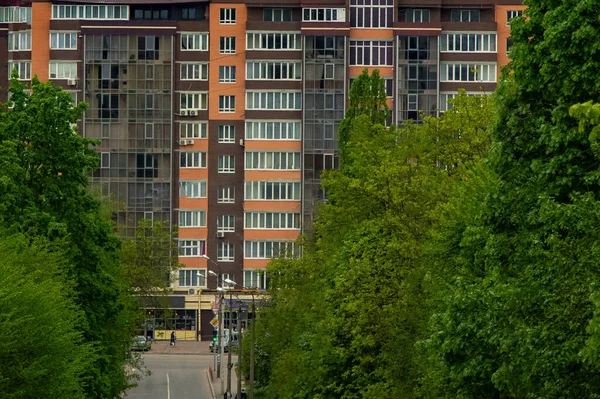 Stad Gata Grön Urbana Landmärke Utsikt Träd Lövverk Förgrund Och — Stockfoto