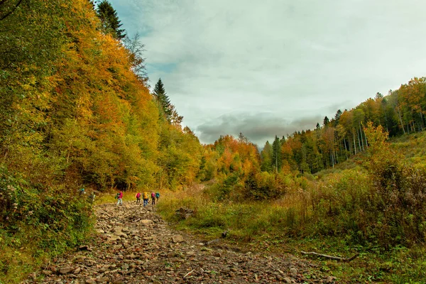 autumn mountains landscape hiking group of people September season time with brown and yellow trees foliage atmospheric moody scenic view