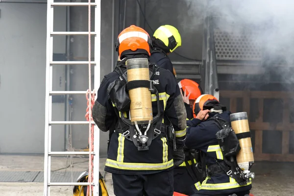 Pompiers français en brigade — Photo