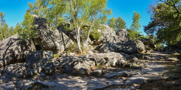 Krajobraz Lasu Fontainebleau — Zdjęcie stockowe