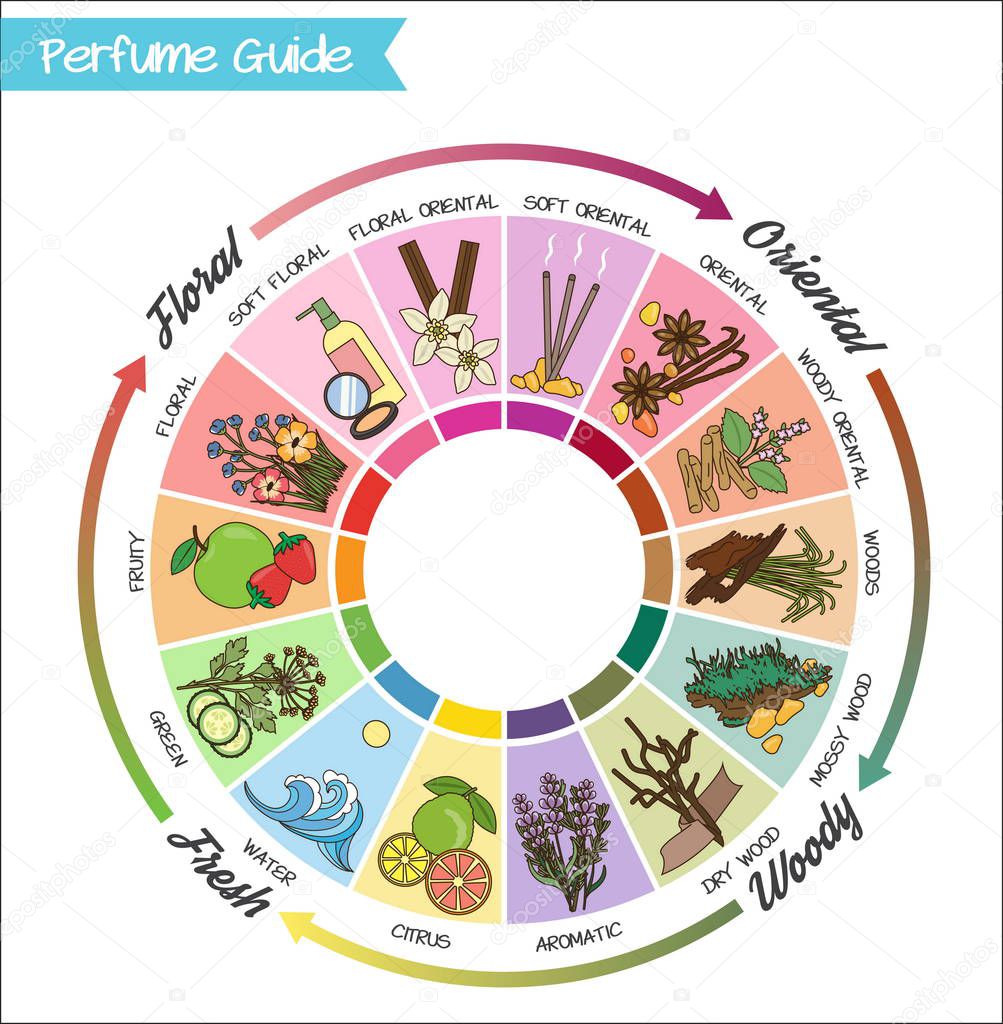 Perfume guide wheel infographic.