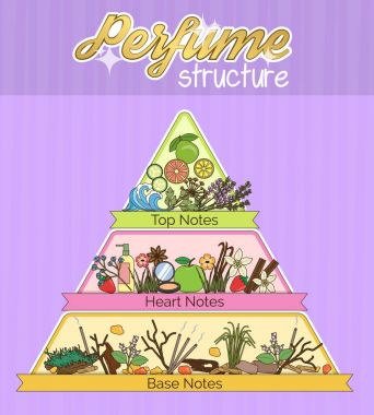 Structure of aroma infographic pyramid poster. clipart