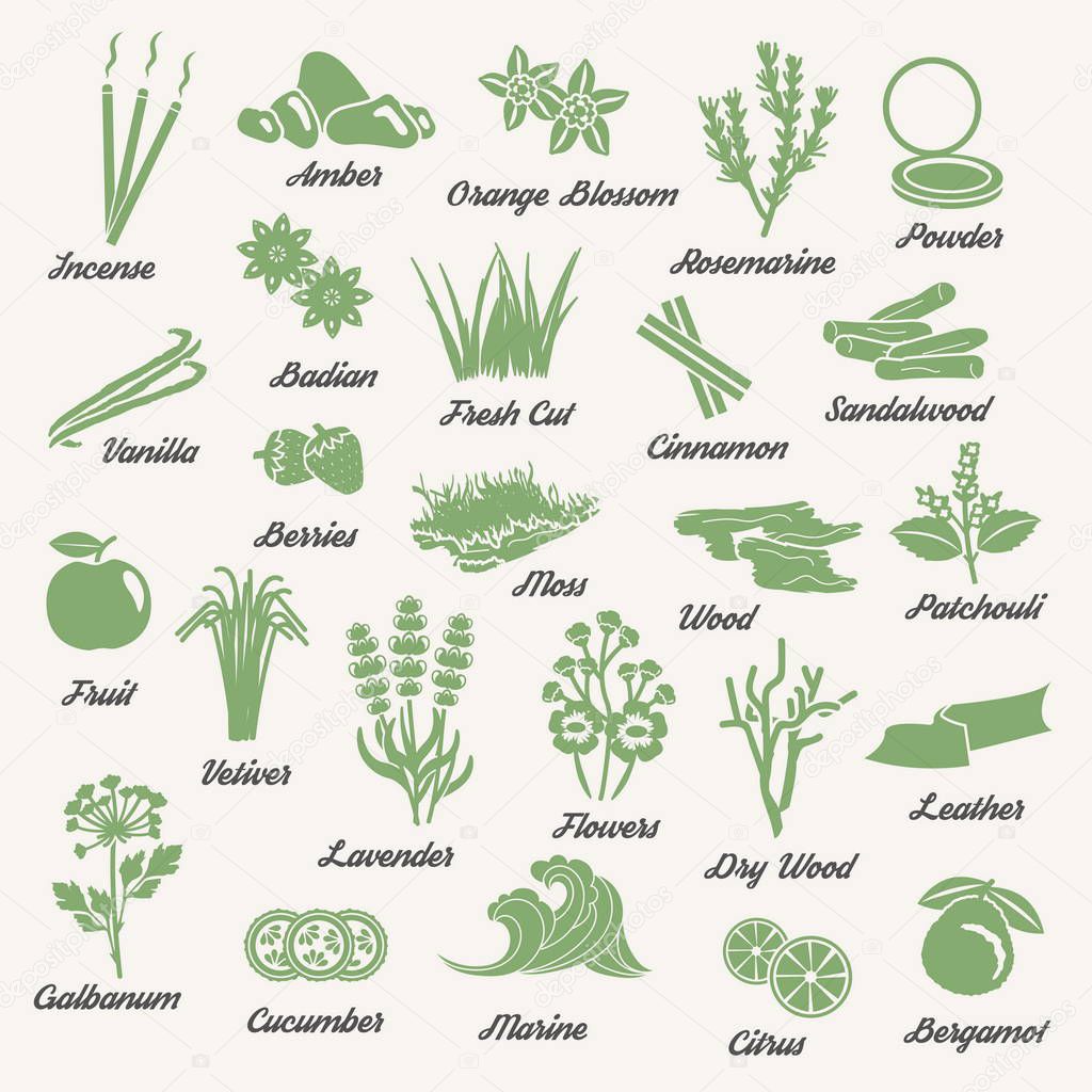 One color aromatic herbs and plants icons