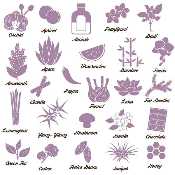 Ícones para plantas aromáticas, ervas e madeiras — Vetor de Stock