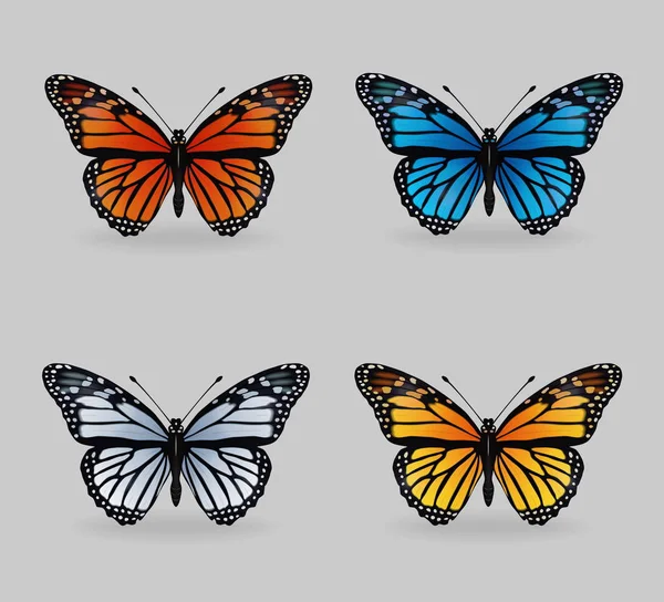 Levendige multy kleur insecten monarch tijger vlinders — Stockvector