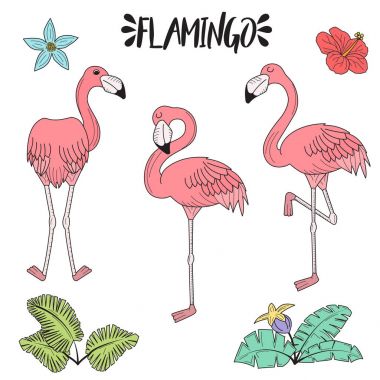 Elle çizilmiş gül pembe flamingo kümesi doodle